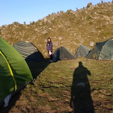 Triund Trek And Camping-3