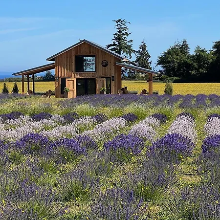 Salt And Cedar Bed And Breakfast-2