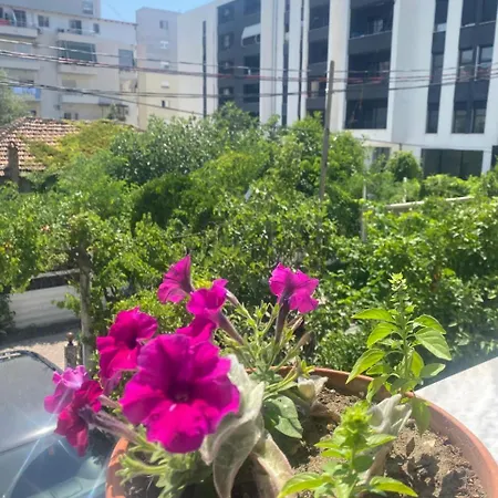 Vila Bella-2