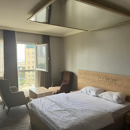 C1 Suite-3