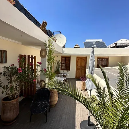 Riad Safina-3