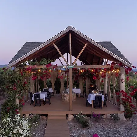 Tres Vides Hotel Boutique-3