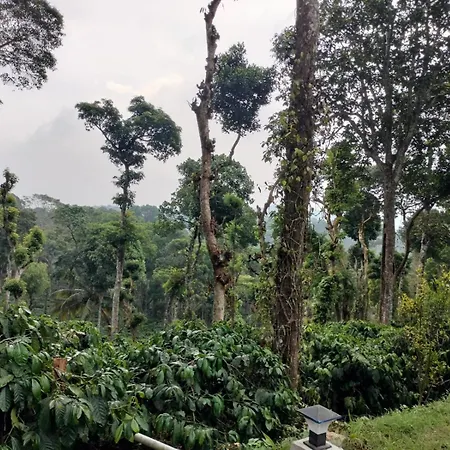 Orange Valley Plantation Holiday Coorg-2