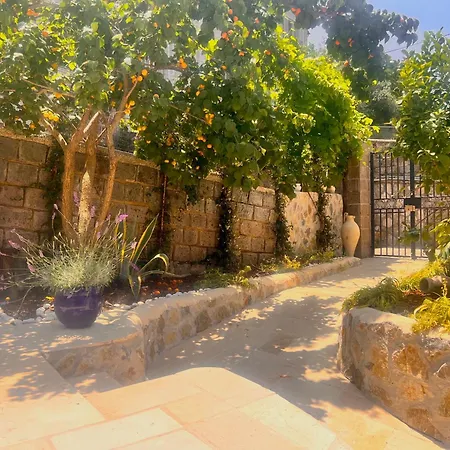 Casa Tua - Countryhouse--2