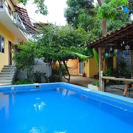Paziflora Hostel -Starlink--2