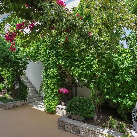 Olympic Kosmas Hotel- Hanioti-3