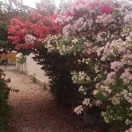 Casa Los Jarochos sencilla-2