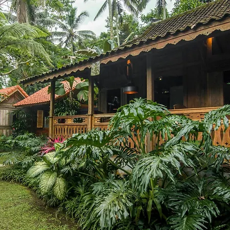 Dewi Tara Haven-3