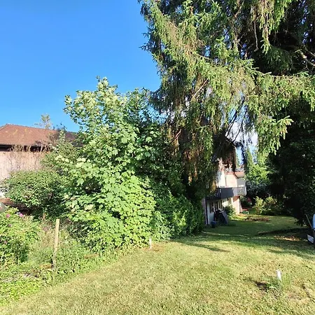Hotel zum Kreuz-2