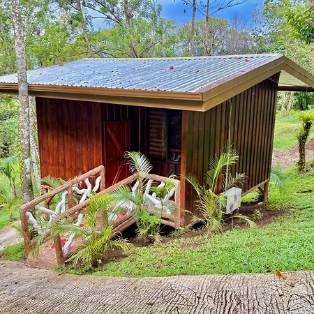 Chato Arenal Lodge-3