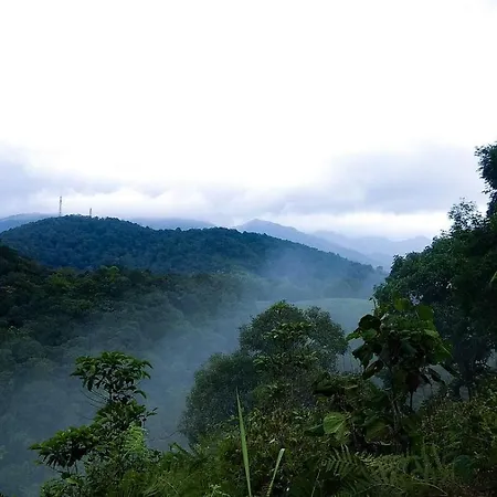 Rain Country Jungle Resort-3