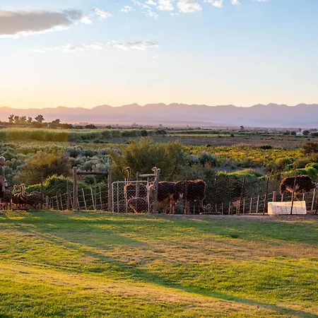 De Denne Country Guest House-2