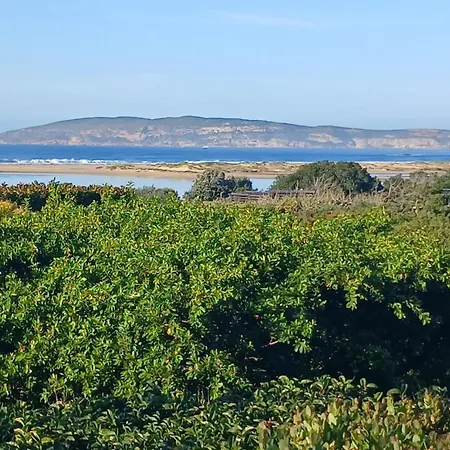 Tidal Retreat-3