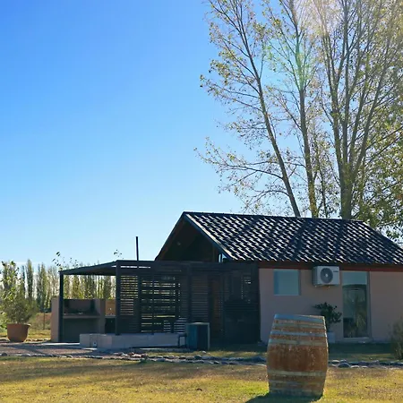 Martyniuk lodges entre viñedos-3