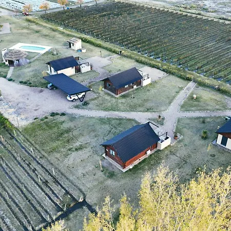 Martyniuk lodges entre viñedos-2