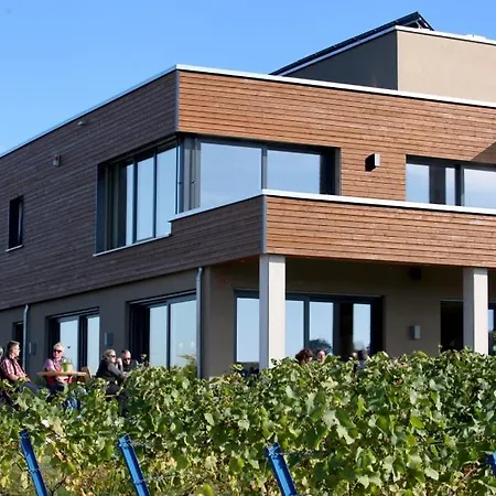 Vögelis WeinNest-3