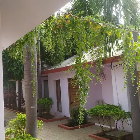Damus Rainbow Resort-2
