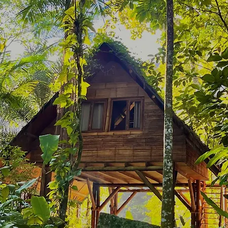 Sitio Simple Life-3