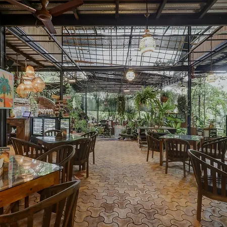 Mojigao - Eco Resort-2