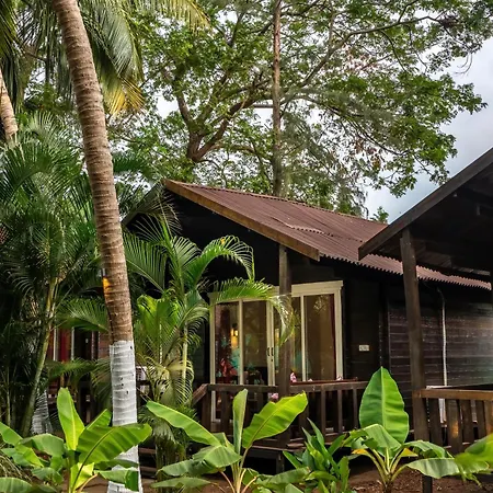The Exotica Agonda-3