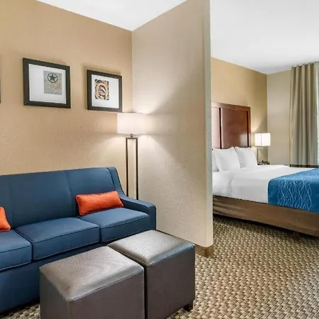 Comfort Inn & Suites Navasota-2