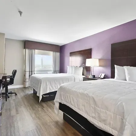 Baymont By Wyndham Henderson-Northeast Denver-3