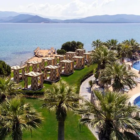 Duja Didim-3