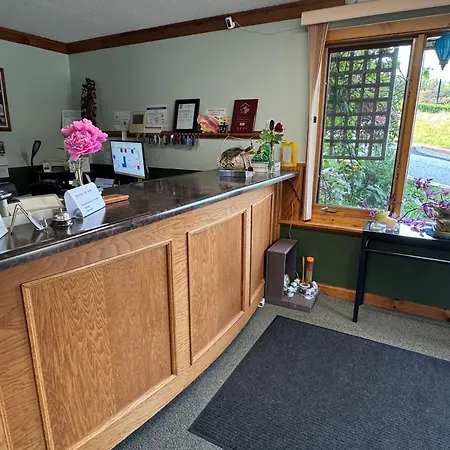 New Age Inn - Voyageur Motel-3