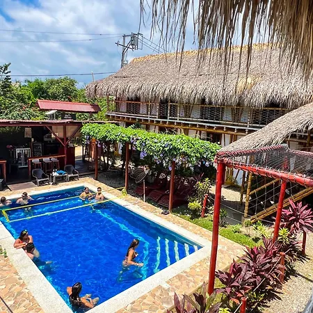 Rincon Del Mar Palomino-2