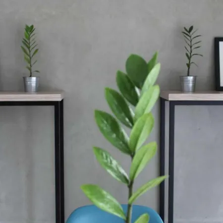 Casa Living Setiabudi Jakarta-3