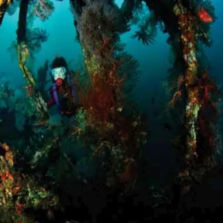 Tulamben Wreck Divers Resort & Restaurant-2
