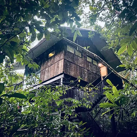 Permai Rainforest Resort-2