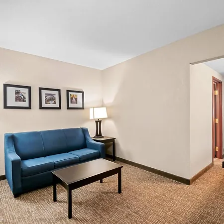 Comfort Inn & Suites Allen Park - Dearborn-3
