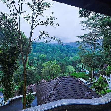 Forest Canopy Thekkady-2