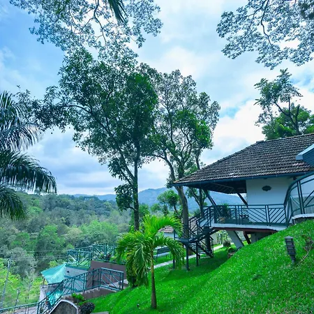 Forest Canopy Thekkady-3