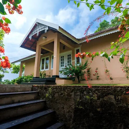 After The Rains - Rainforest Lodge, Wayanad-2