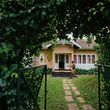 After The Rains - Rainforest Lodge, Wayanad-3