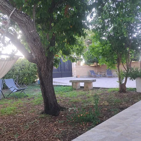 B&B Piccolo Vigneto-3