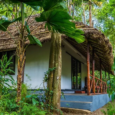 Amritara Shalimar Spice Garden Resort&Spa-2