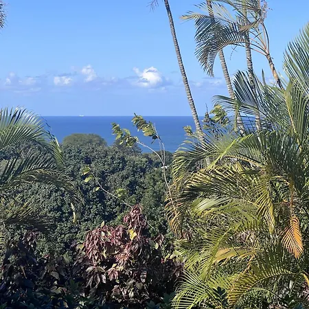 Seaview Manor Exquisite Bed & Breakfast-3