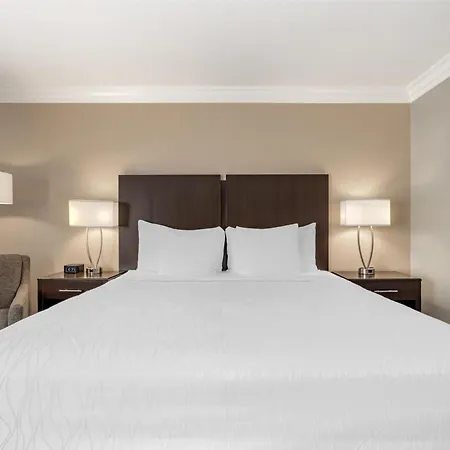 Best Western Plus La Mid-Town Hotel-2