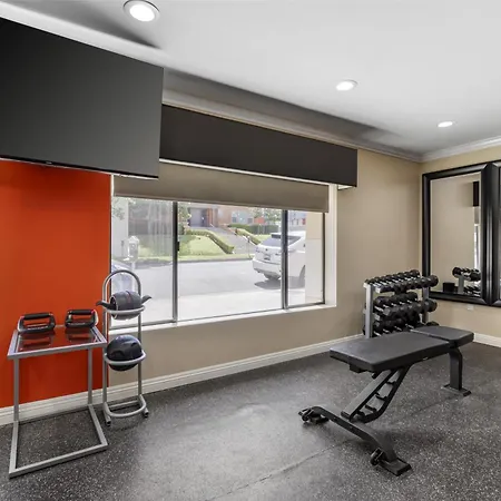 Best Western Plus La Mid-Town Hotel-2