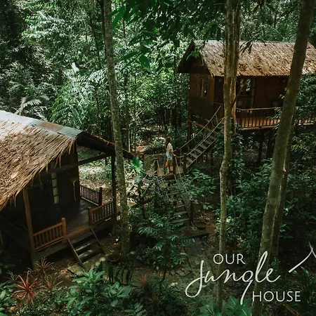 Our Jungle House-2