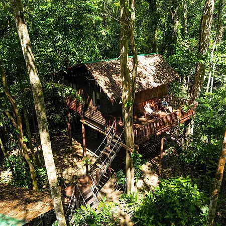 Our Jungle House-2
