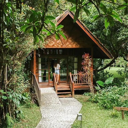 Our Jungle House-3