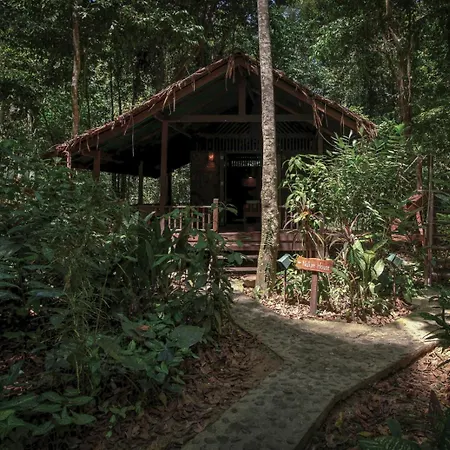 Our Jungle House-3