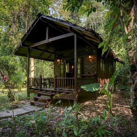 Our Jungle House - SHA Certified-3
