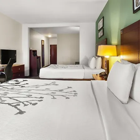 Sleep Inn & Suites Bush Intercontinental - Iah East-3