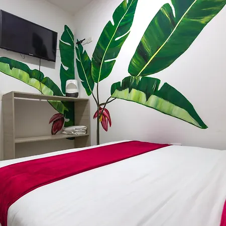 Minca Chunuu - Glamping - Coworking Minca-2