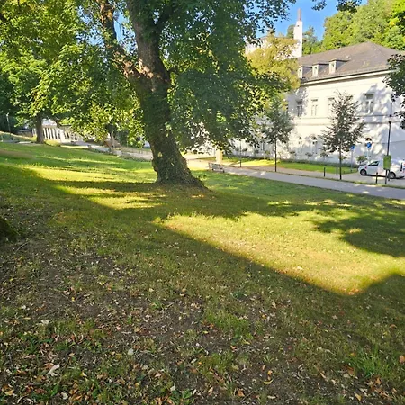 Hotel MALEPARTUS am Kurpark-3